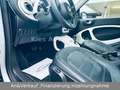smart forTwo Prime AUTOM/LEDER/PANO/SITZH/KLIMA/LICHTP Silber - thumbnail 14