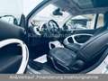 smart forTwo Prime AUTOM/LEDER/PANO/SITZH/KLIMA/LICHTP Silber - thumbnail 11