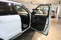 Land Rover Range Rover Evoque 2.2 SD4 *Automatik*Leder*Navi Weiß - thumbnail 17