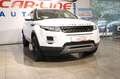 Land Rover Range Rover Evoque 2.2 SD4 *Automatik*Leder*Navi Weiß - thumbnail 3