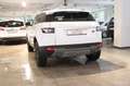 Land Rover Range Rover Evoque 2.2 SD4 *Automatik*Leder*Navi Weiß - thumbnail 7