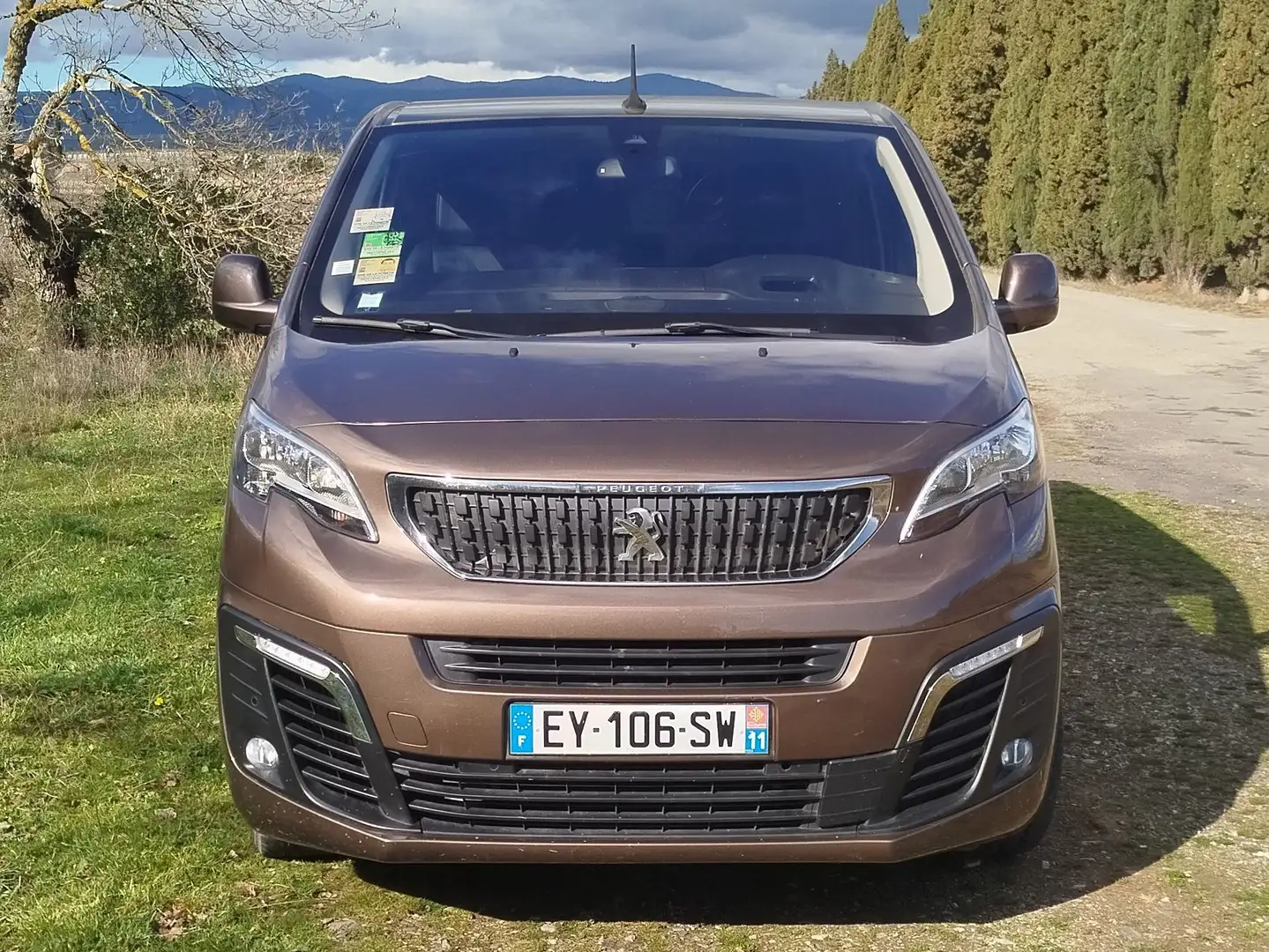 Peugeot Expert FGN TOLE STANDARD BLUEHDI 150 S Brun - 2