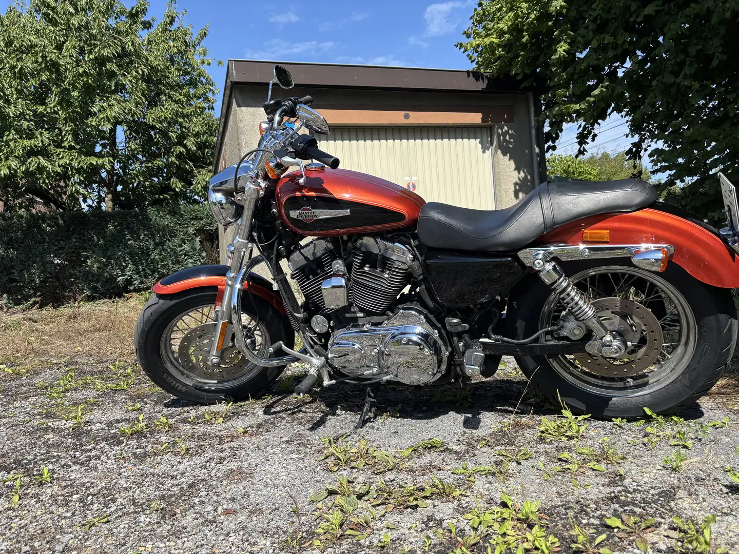 Harley-Davidson Sportster 1200 - 1