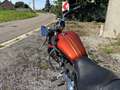 Harley-Davidson Sportster 1200 - thumbnail 6