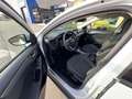 Ford Focus Active Automatica 1.5EcoBlue 120CV + Co-Pilot Pack Blanc - thumbnail 8