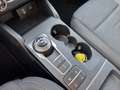 Ford Focus Active Automatica 1.5EcoBlue 120CV + Co-Pilot Pack Blanc - thumbnail 14