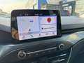 Ford Focus Active Automatica 1.5EcoBlue 120CV + Co-Pilot Pack Blanc - thumbnail 13