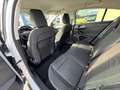 Ford Focus Active Automatica 1.5EcoBlue 120CV + Co-Pilot Pack Blanc - thumbnail 9