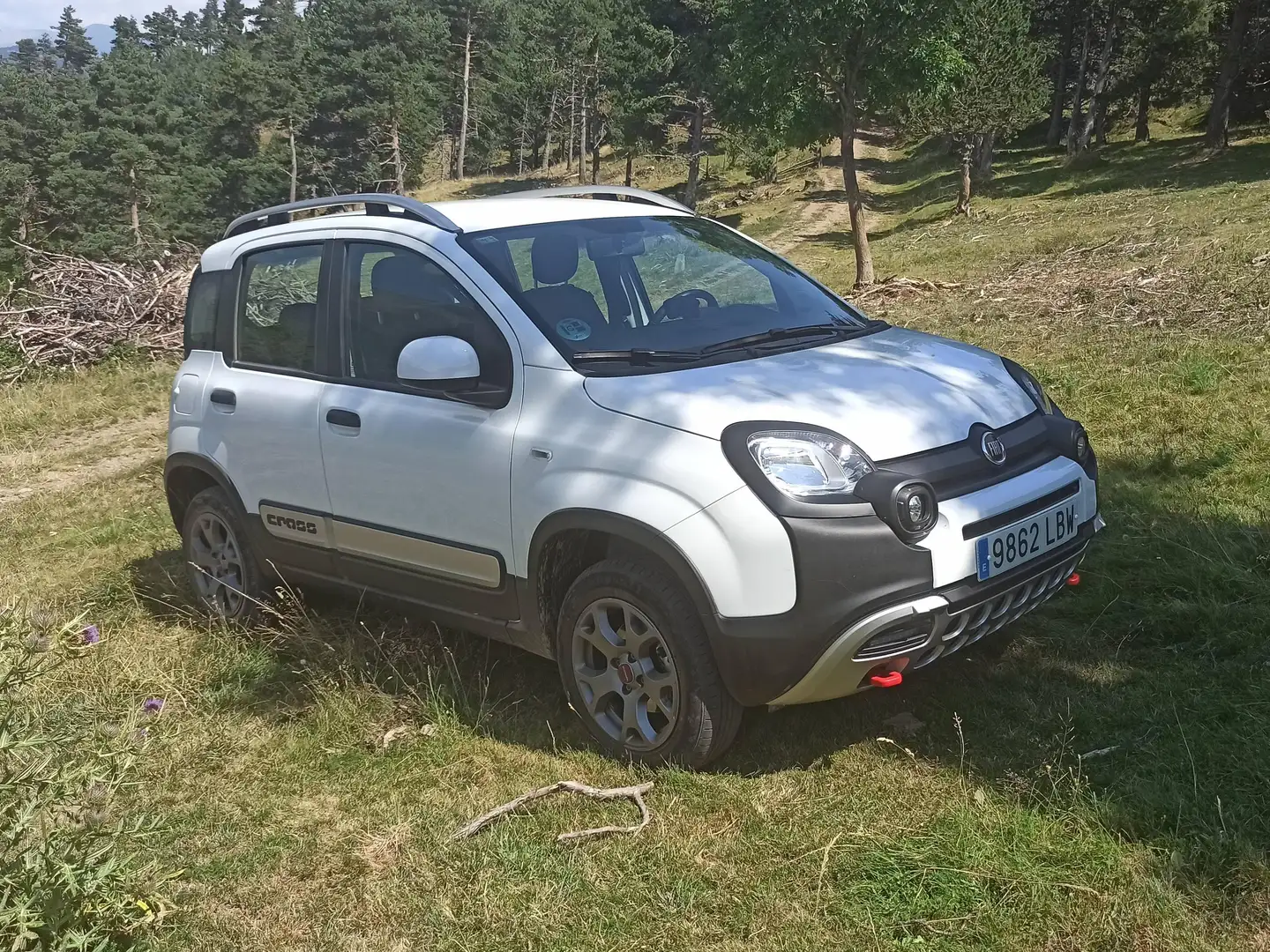 Fiat Panda Panda 0.9 TwinAir Cross 4x4 Cross Blanco - 1