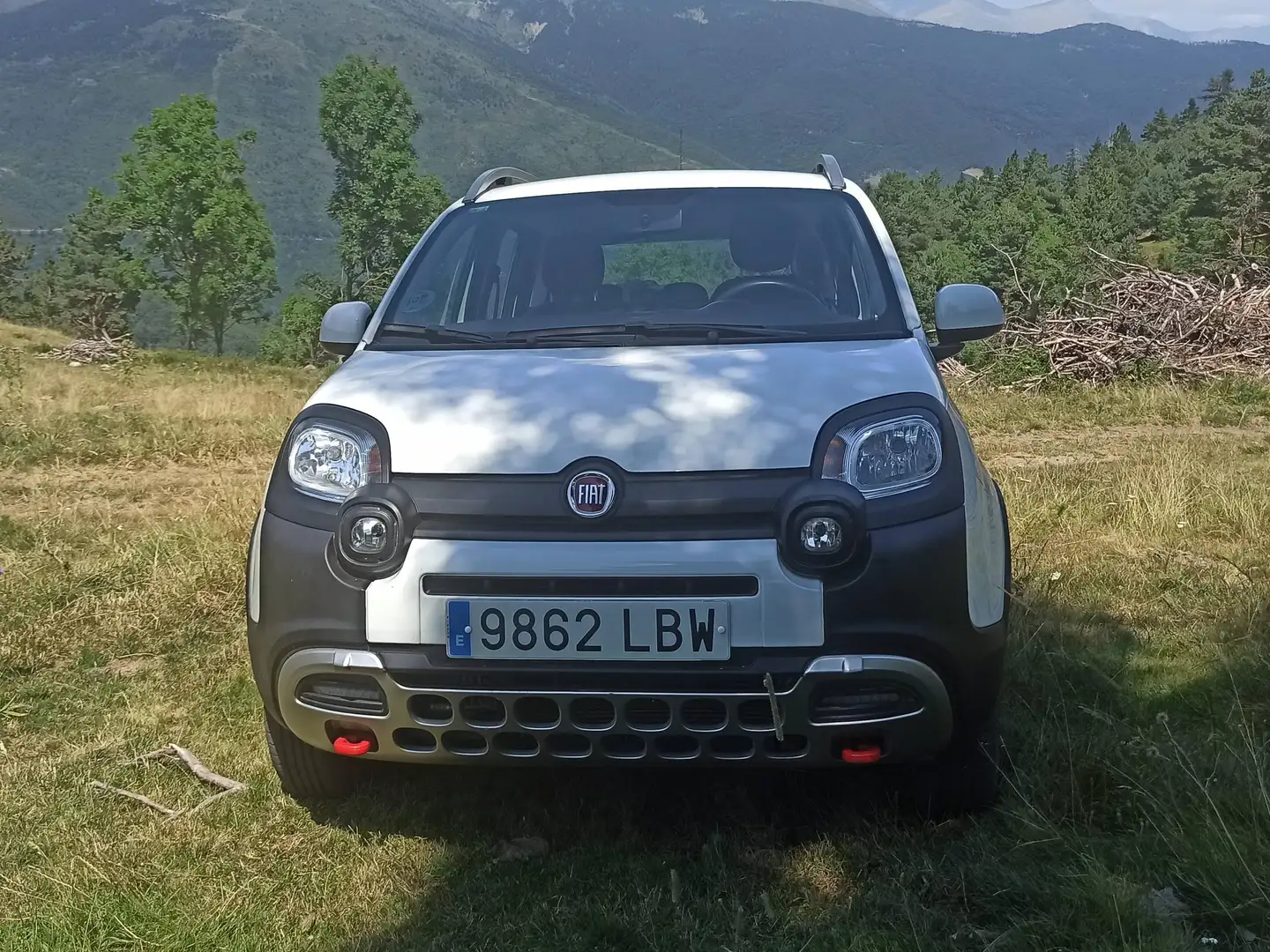 Fiat Panda Panda 0.9 TwinAir Cross 4x4 Cross Blanco - 2