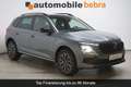 Skoda Kamiq 1.5TSI DSG Selection Pano Kamera LED ACC Grau - thumbnail 3