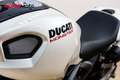 Ducati Monster 1100 - thumbnail 13