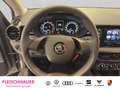 Skoda Fabia Active 1.0 TSI LED+PDC+SmartLink+SHZ+Klima+Telefon Grau - thumbnail 10