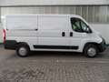 Opel Movano C Kasten L2H1 3,5t Edition+Navi+Kamera Weiß - thumbnail 3