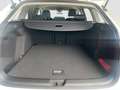 Volkswagen Golf Variant 1.5 TSI DSG Standheizung Weiß - thumbnail 19