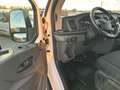 Ford Transit 310 2.0 tdci 105 cv l2h2 ALLESTITO Blanc - thumbnail 9