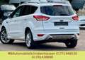 Ford Kuga Individual 4x4 PANORAMA KAMERA Weiß - thumbnail 6
