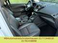 Ford Kuga Individual 4x4 PANORAMA KAMERA Weiß - thumbnail 4