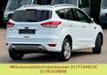 Ford Kuga Individual 4x4 PANORAMA KAMERA Weiß - thumbnail 7