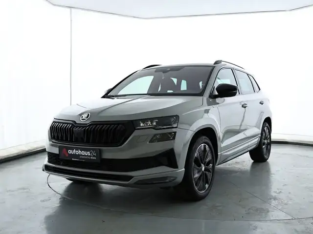 Skoda Karoq view 3