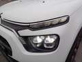 Citroen C3 PureTech 83 Shine Pack Bianco - thumbnail 8
