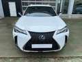 Lexus UX 250h 2.0 F- Sport Blanco - thumbnail 5