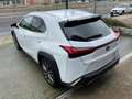 Lexus UX 250h 2.0 F- Sport Blanco - thumbnail 6