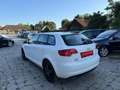 Audi A3 SB Ambition 1,6 TDI-1/3 ZINSFREI FINANZIERUNG Weiß - thumbnail 10