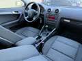 Audi A3 SB Ambition 1,6 TDI-1/3 ZINSFREI FINANZIERUNG Weiß - thumbnail 13