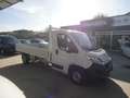 Fiat Ducato Ducato 35 2.3 MJT 140CV PLM Cabinato Bianco - thumbnail 2