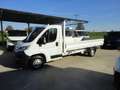 Fiat Ducato Ducato 35 2.3 MJT 140CV PLM Cabinato Bianco - thumbnail 1