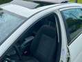 Mercedes-Benz B 180 B 180 Executive auto Weiß - thumbnail 9