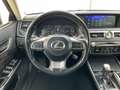 Lexus GS 300 300h Business Line Voll.Onderhouden Trekhaak Memor Blau - thumbnail 32
