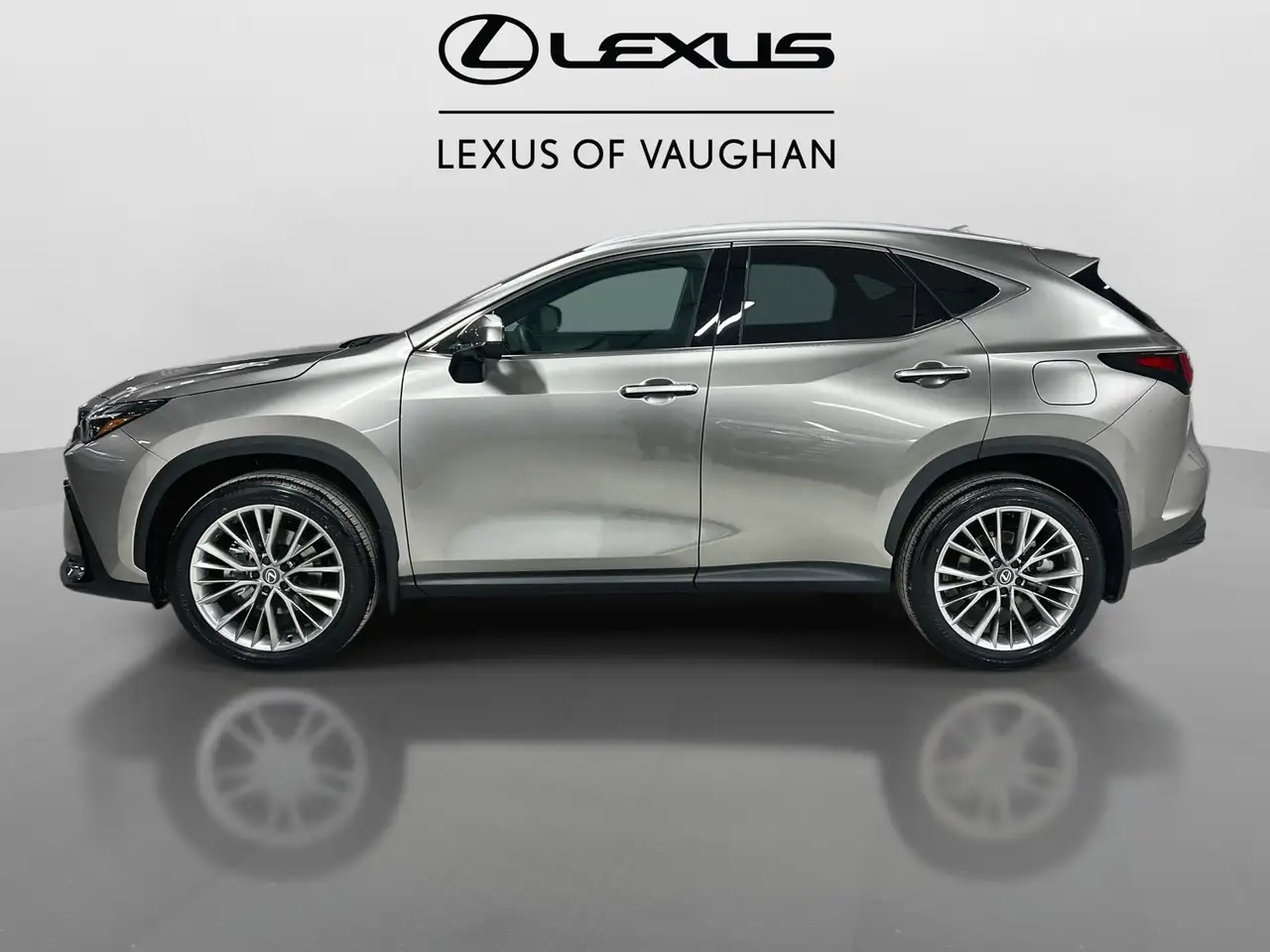 Lexus NX снимка Lexus NX
