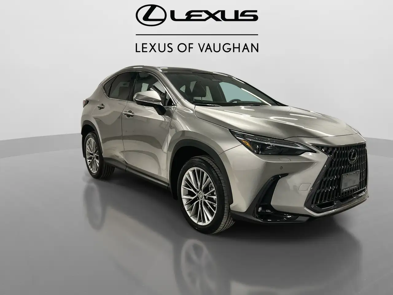 Lexus NX снимка Lexus NX