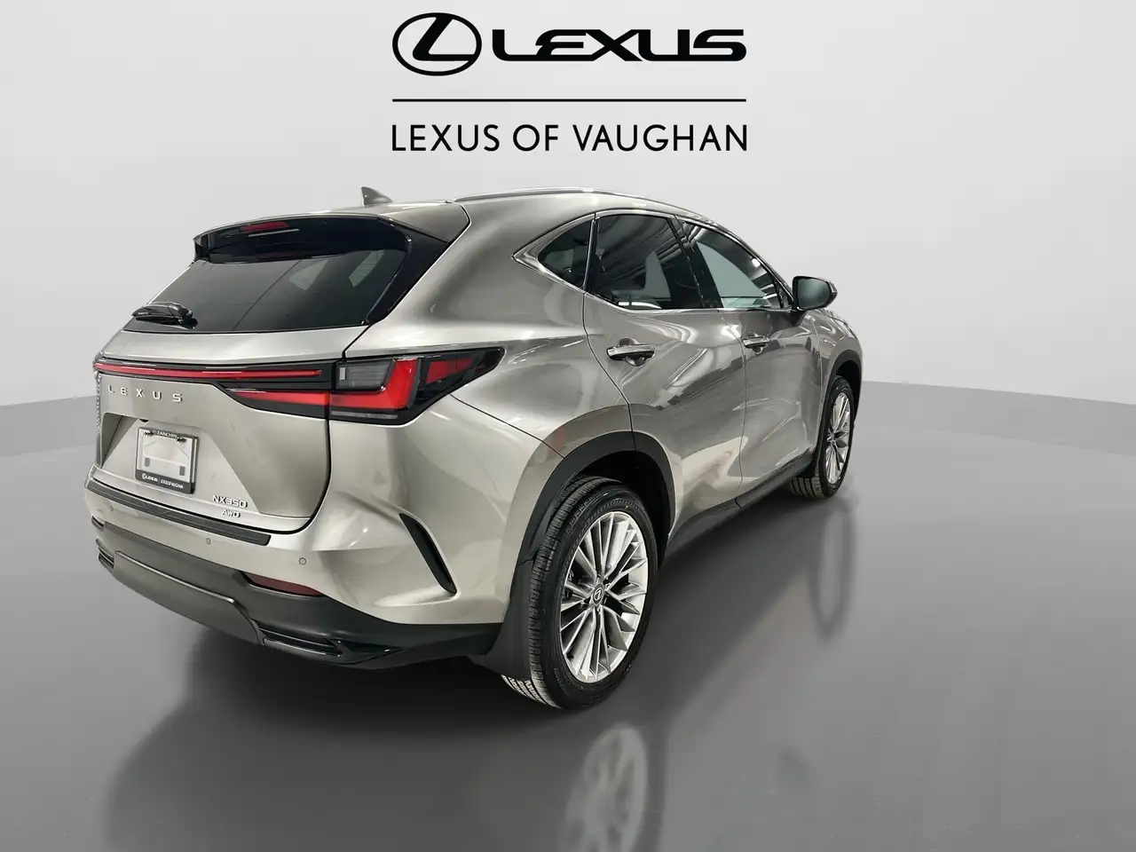 Lexus NX снимка Lexus NX