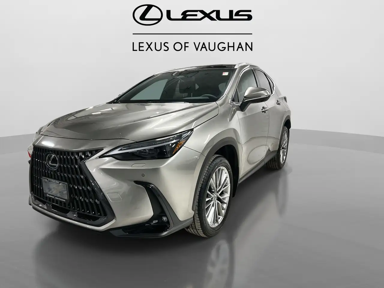 Lexus NX снимка Lexus NX