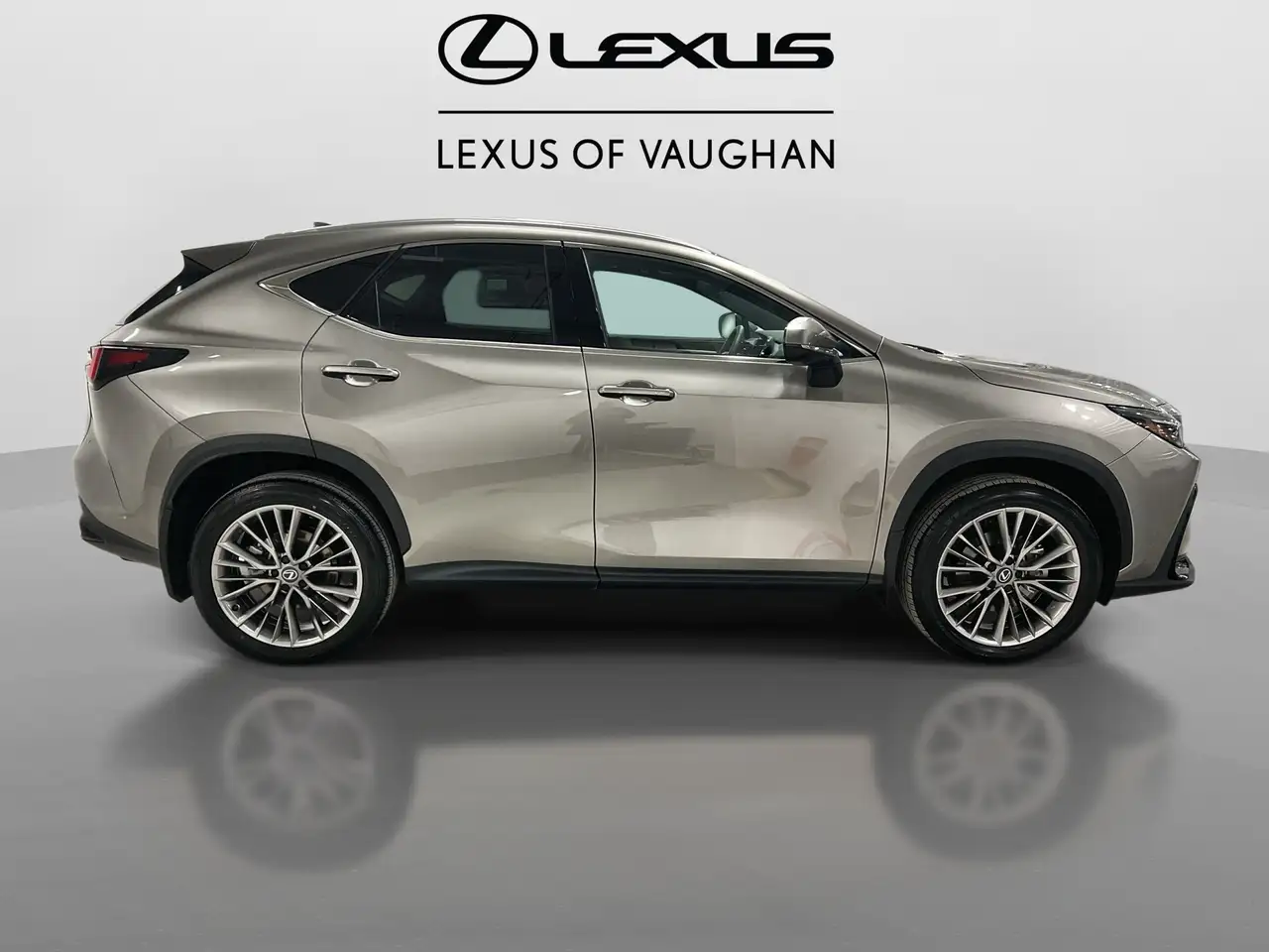 Lexus NX снимка Lexus NX
