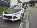 Ford Kuga 2,0 TDCi Titanium 4x4 - thumbnail 9
