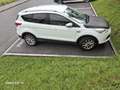 Ford Kuga 2,0 TDCi Titanium 4x4 - thumbnail 7