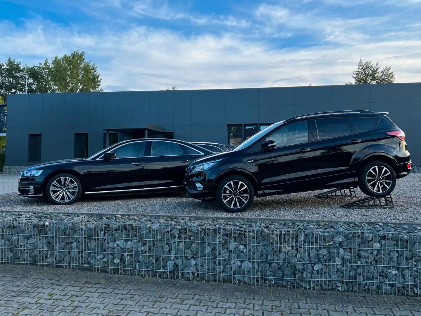 Audi Q8 50 TDI quat. S line S-Sitz SoftClose B&O 23'' Negro - 2