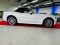 Fiat 124 Spider Lusso -Leder -Navigation Weiß - thumbnail 8