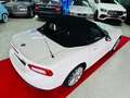 Fiat 124 Spider Lusso -Leder -Navigation Weiß - thumbnail 11