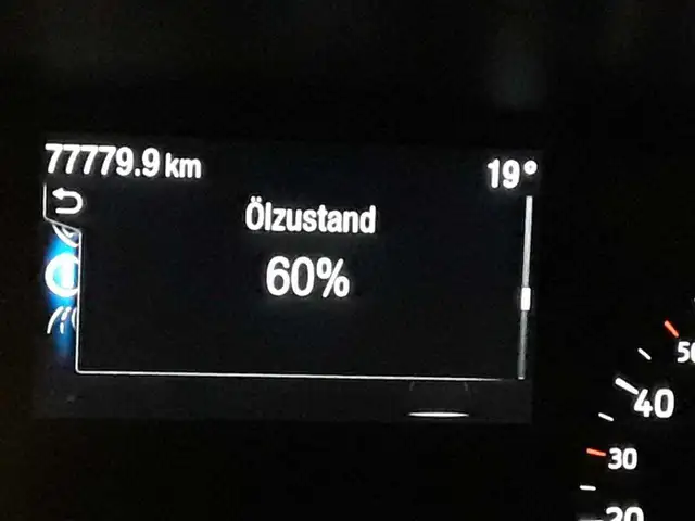 Ford Focus view 15