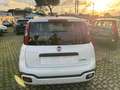 Fiat Panda Cross 1.0 FireFly S&S Hybrid NO VICOLI 5 POSTI CAR Wit - thumbnail 4