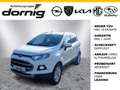 Ford EcoSport Titanium,Navi,PDC,SHZ Weiß - thumbnail 1