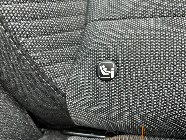 Renault Symbioz view 28