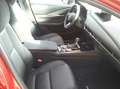 Mazda CX-30 Homura 2.5L e-Skyactiv G *Navi* *Klimaautom.* *Sit Rot - thumbnail 7