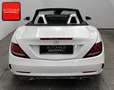 Mercedes-Benz SLC 300 AMG PANO+MEMO+H/K+CARPLAY+AIR-SCARF+ Blanc - thumbnail 7