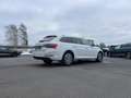 Skoda Superb Combi 2.0 TDI Style 156€ m. 20% Anzahlung AHK Vi Weiß - thumbnail 6